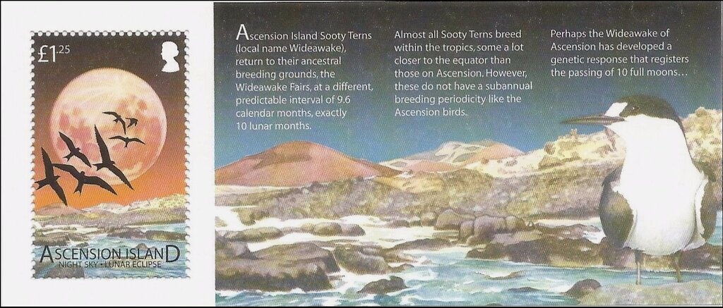 Aboriginal art - Johnston's Crocodile