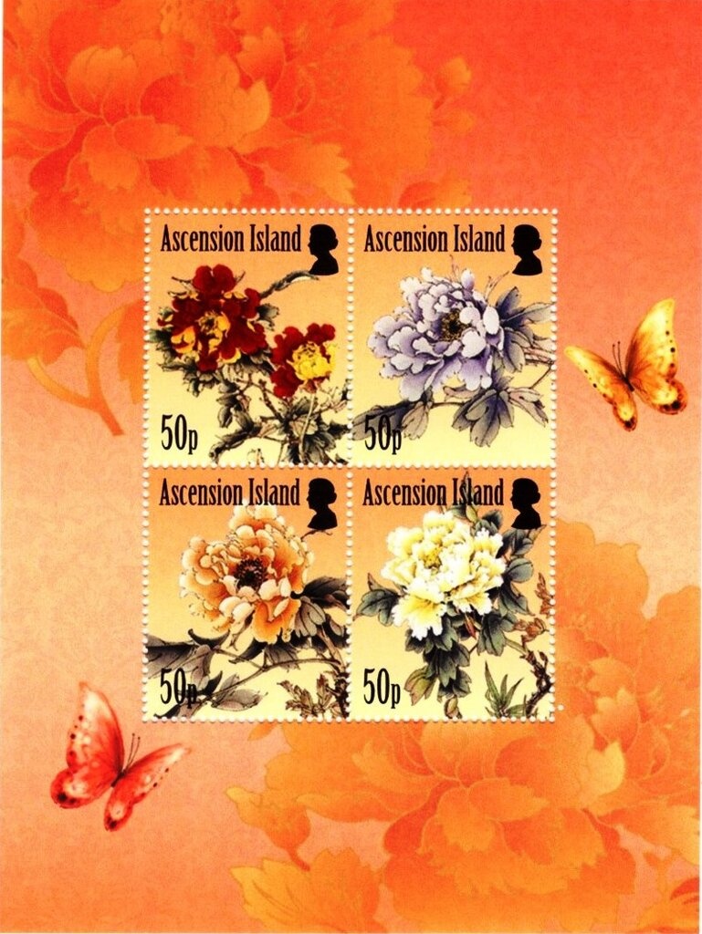 Plate Fish (Bothus lunatus)