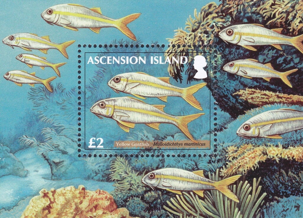 Royal Marines Commando, Eastney, 1970's