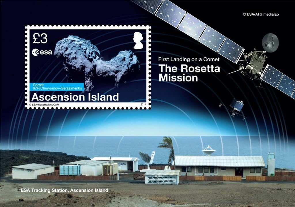 Grey-headed Flying Fox (Pteropus poliocephalus)