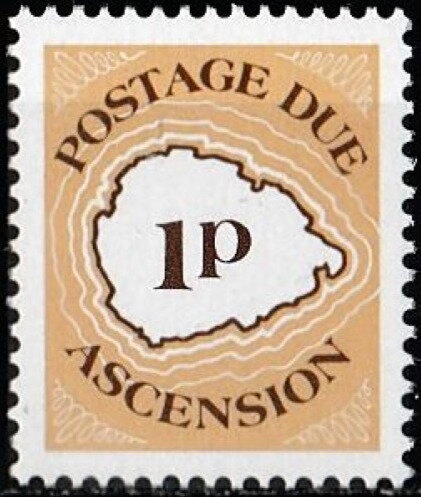 Raspberry (Rubus rosifolius)