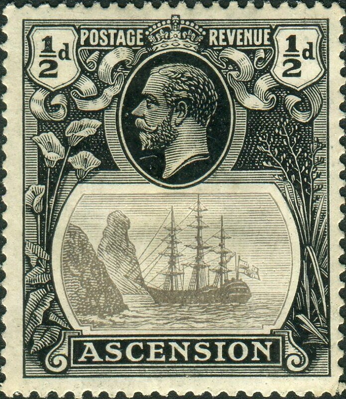 King Parrot (Alisterus scapularis)