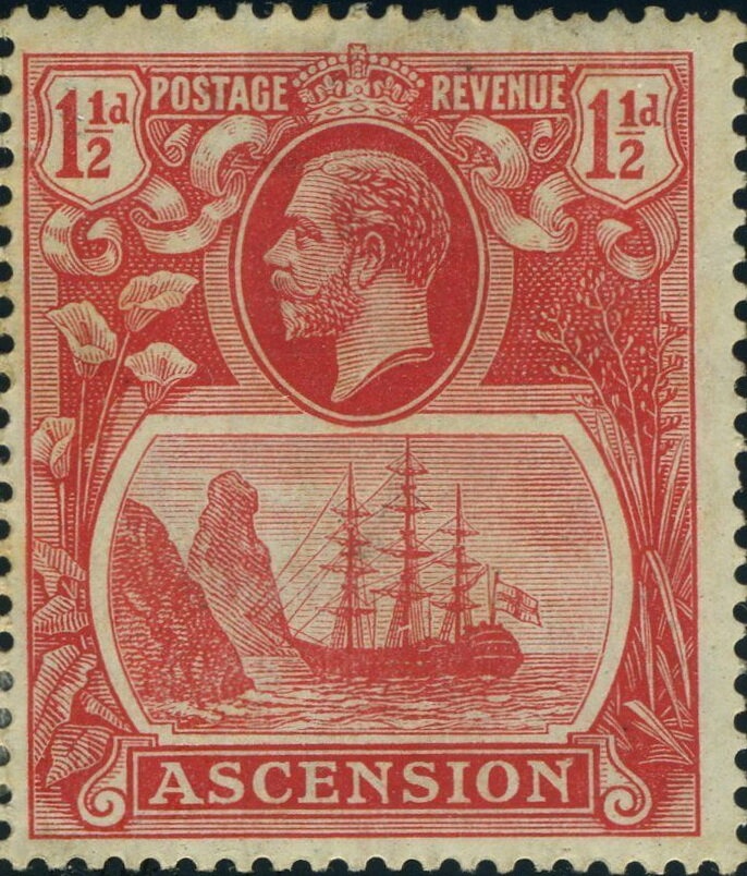 Blue Water Lily (Nymphaea capensis)