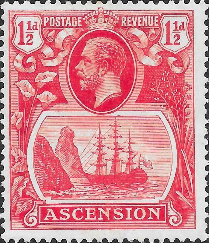 Spotted Catbird (Ailuroedus maculosus)