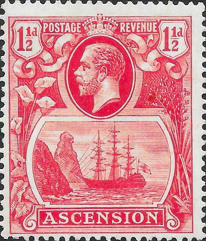 Laughing Kookaburra (Dacelo novaeguineae)