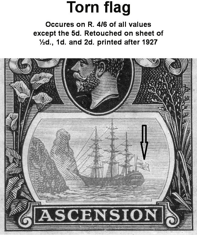 Masked Booby (Sula dactylatra)