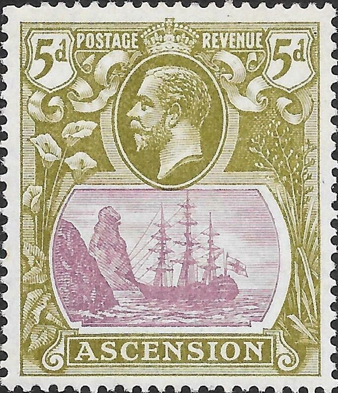 Masked Booby (Sula dactylatra)