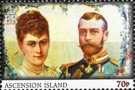 Common Brushtail Possum (Trichosurus vulpecula)