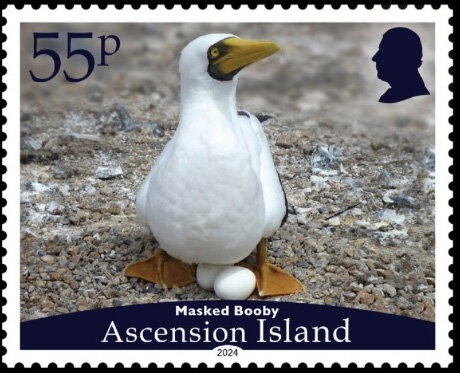 Church facade in Gothic style, Blandfordia grandiflora