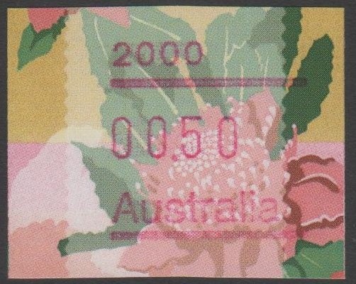 Ant (Formicidae solenopsis)