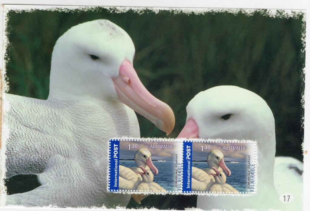 Duke of Wellington & Battle of Waterloo