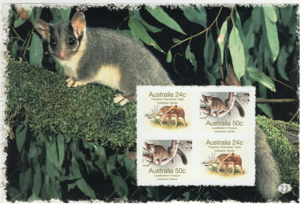 Darwin's voyage on the Beagle, 175th Anni