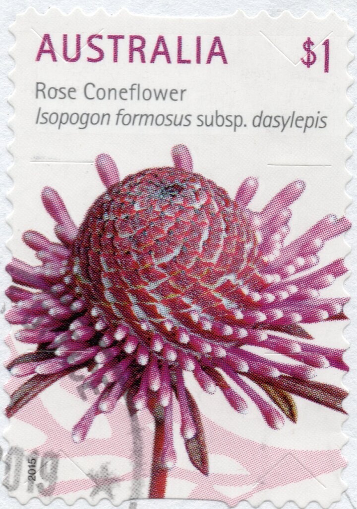 Queen Elizabeth II - Type I