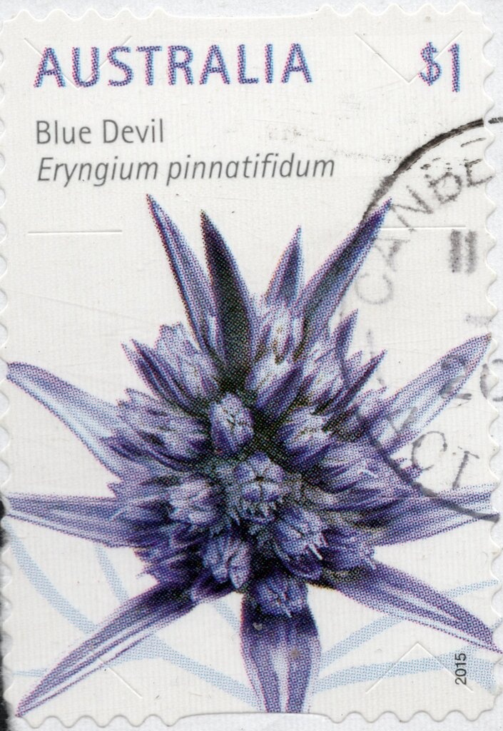 Queen Elizabeth II - Type B