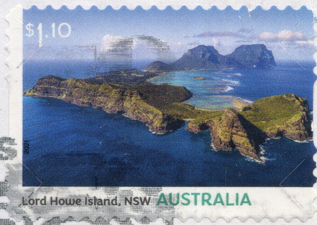 Black Noddy (Anous tenuirostris)