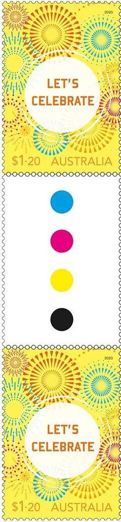 Blue Mountains Tree Frog (Litoria citropa)