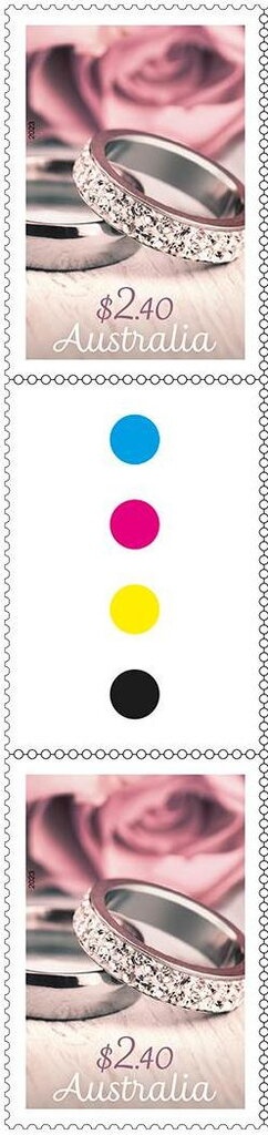 Yellow and Purple Land Crab (Gecarcinus lagostoma)