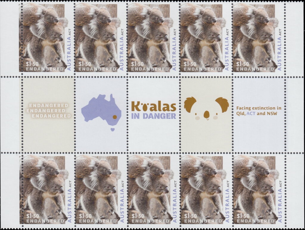 Red-footed Booby (Sula sula)