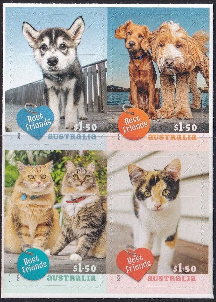 Horse-eye Jack (Caranx latus)