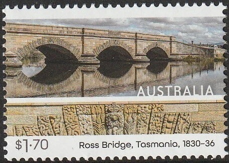 White Booby (Sula dactylatra)