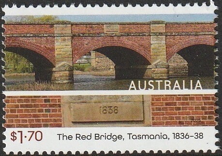 Fofoti (Conocarpus erectus)