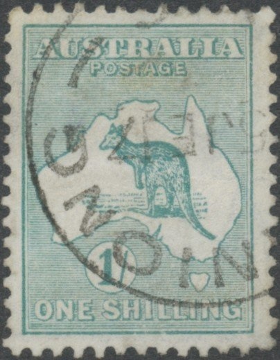 Brown Booby (Sula leucogaster)