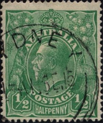 Wood White (Delias aganippe)