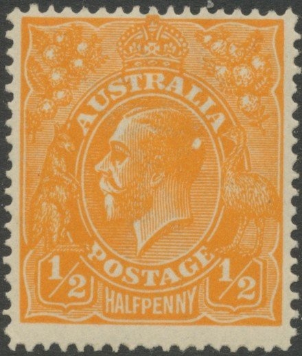 Bougainvillea spectabilis