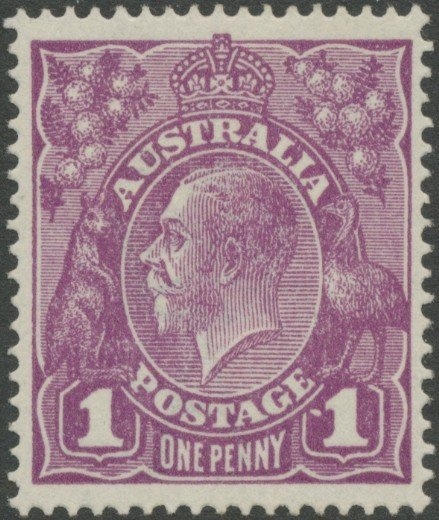 Yellow-tailed Thornbill (Acanthiza chrysorrhoa)