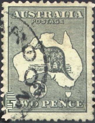 White Booby (Sula dactylatra)