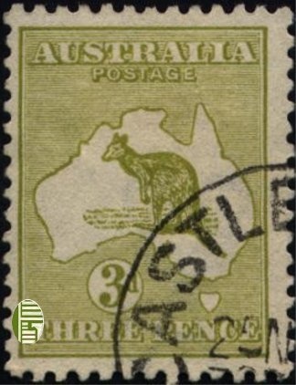 Brown Booby (Sula leucogaster)