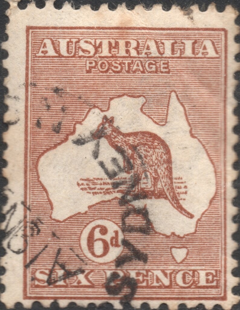 African Monarch (Danaus chrysippus)