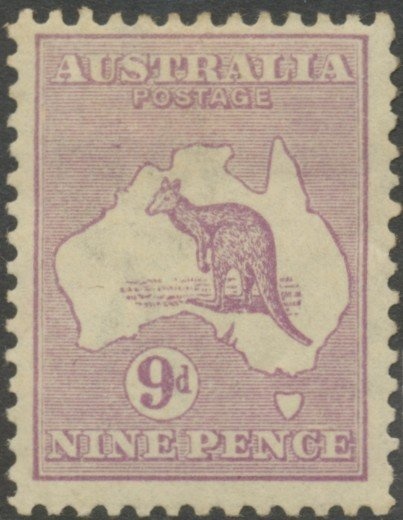 Banded Tube-dwelling Anemone (Isarachnantus maderensis)