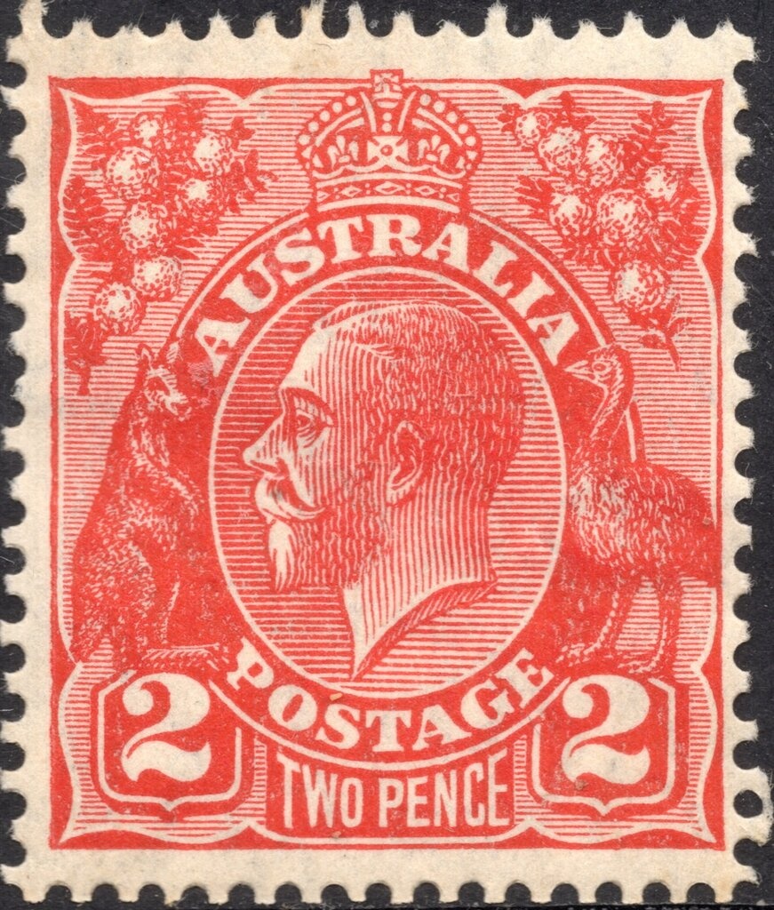 Teleonemia scrupulosa