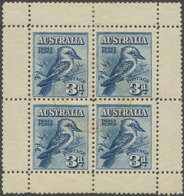 Saltwater Crocodile (Crocodylus porosus)