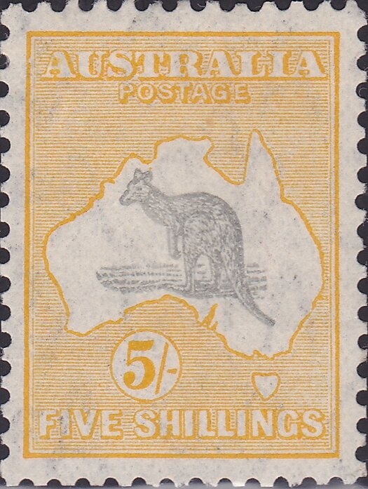 Flatback Turtle & Nudibranch, Flame Angelfish