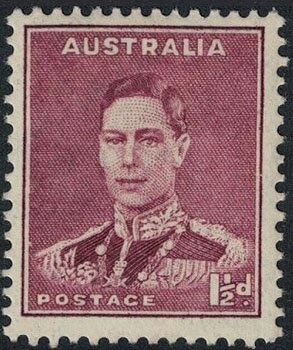 Valerius Cordus (1515-44), Cordia sebestena