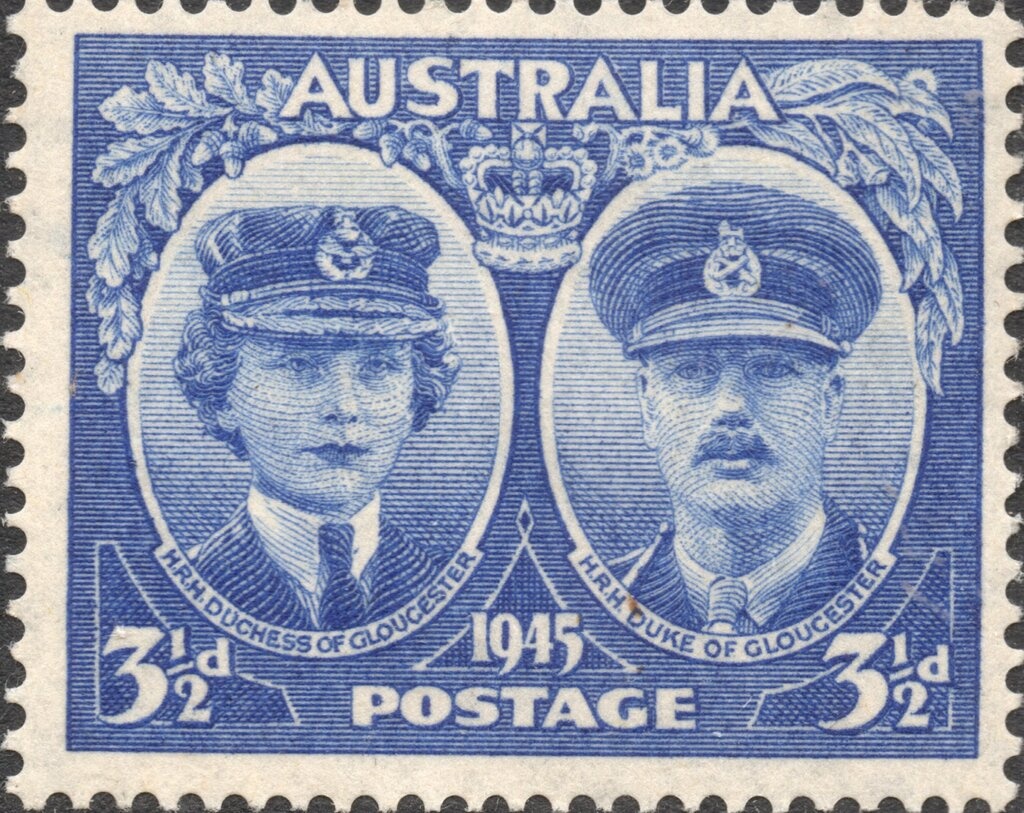 Rose Coneflower (Isopogon formosus ssp. dasylepis)