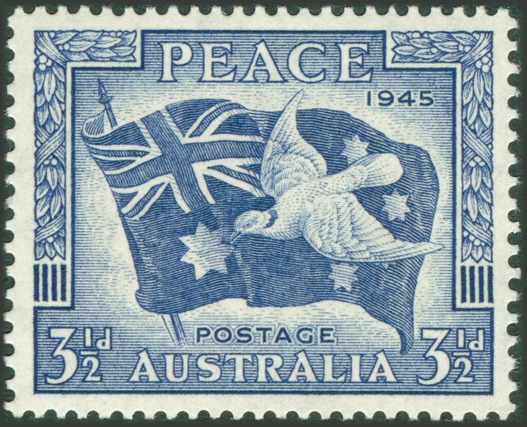 Green Sea Turtle (Chelonia mydas)