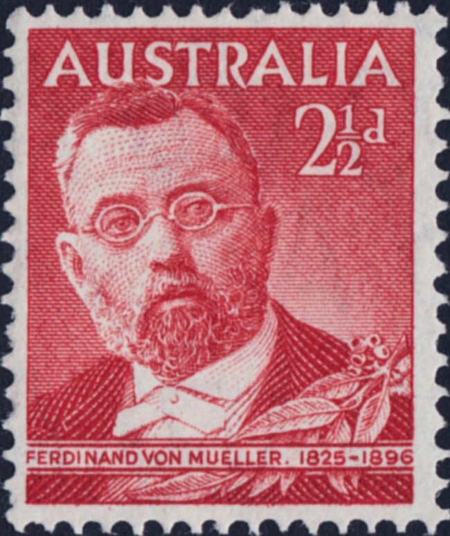 Social Justice and Cooperation