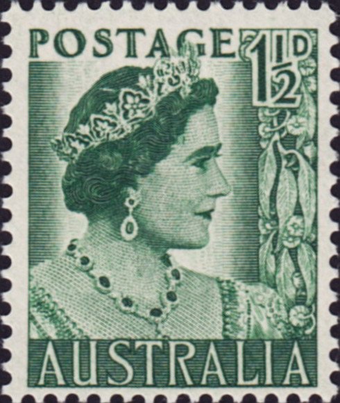 Bluntnose Sixgill Shark (Hexanchus griseus)