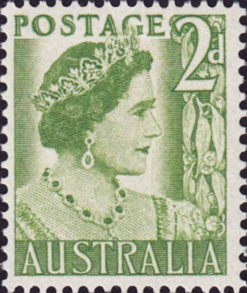 Brisingid Starfish (Brisingida sp)