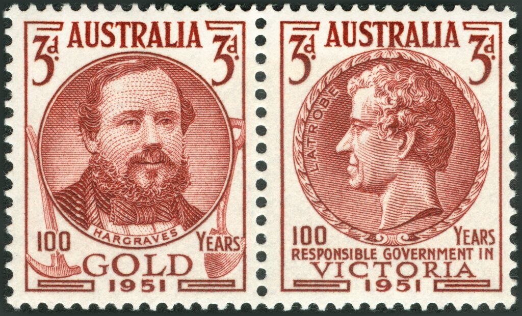 Mauve Stinger (Pelagia noctiluca)