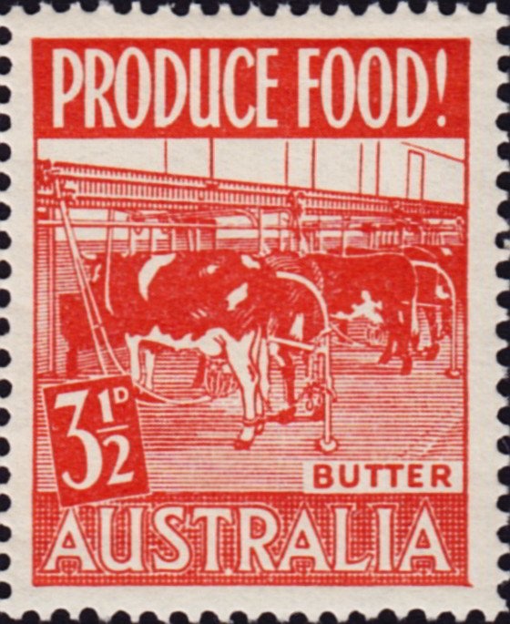 Big Greasy (Cressida cressida)