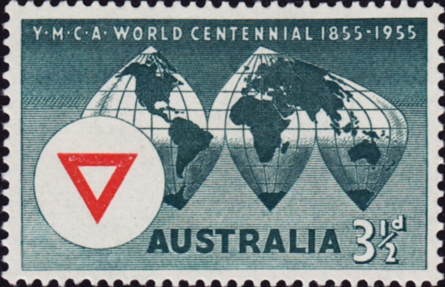 Koala (Phascolarctos cinereus)