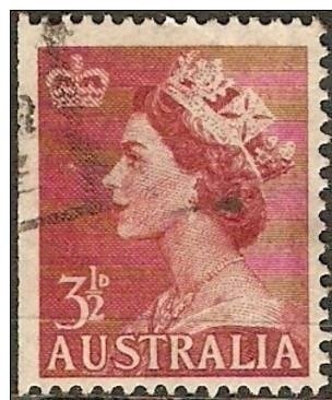 Koala (Phascolarctos cinereus)