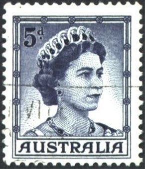 Southern Right Whale (Eubalaena australis)