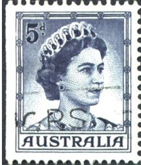 Golden Shouldered Parrot (Psephotellus chrysopterygius)