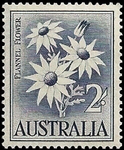 Fifth World Congress of Gynaecology and Obstetrics