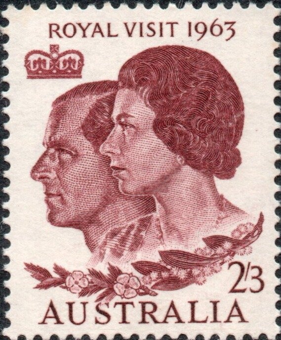 Blue Whale (Balaenoptera musculus)